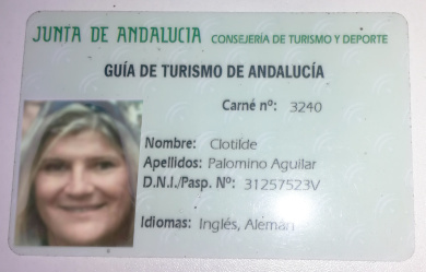 carnet-guia-sevilla